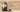 http://www.dreamstime.com/stock-images-black-chokeberry-jam-wooden-background-image34687554