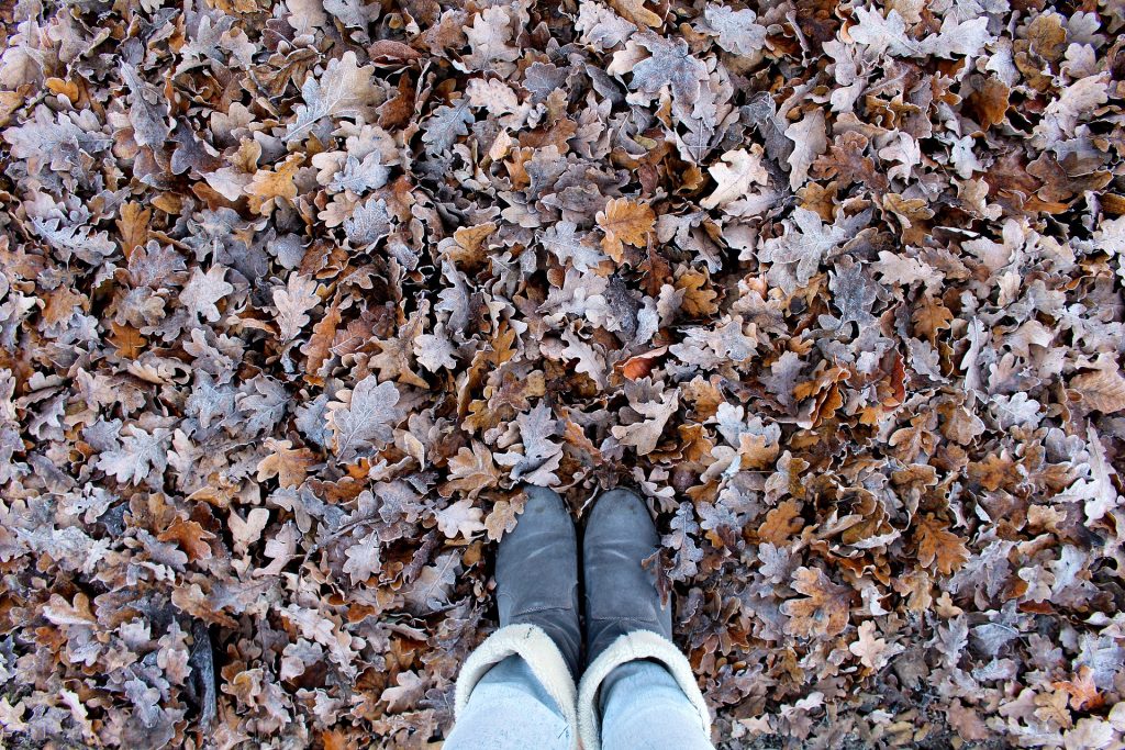 kozaki - buty na jesien 