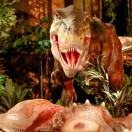 Jurassic Adventure już otwarta – pierwsza taka wystawa dinozaurów w Polsce!