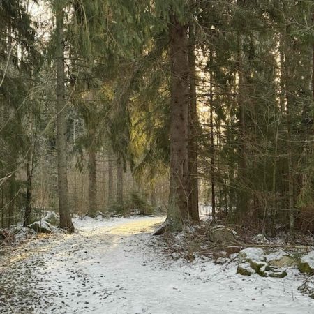 Zima na Mazurach dla miłośników slow life