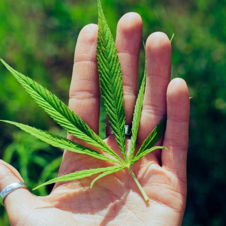 Żel z CBD – naturalne wsparcie dla zmęczonych mięśni i stawów