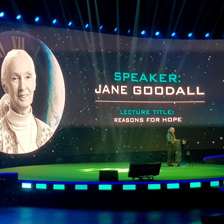 Moje zadanie to być głosem zwierząt – przesłanie Jane Goodall