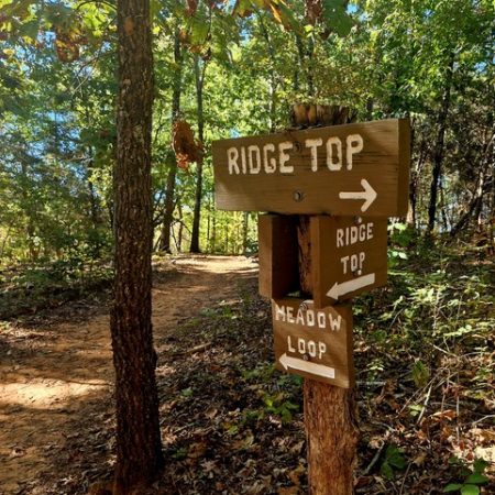 Parki narodowe i stanowe Stanów Zjednoczonych