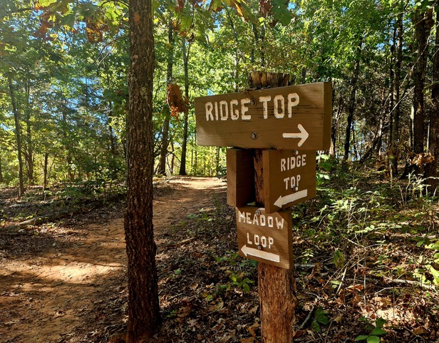 parki w Stanach Zjednoczonych 