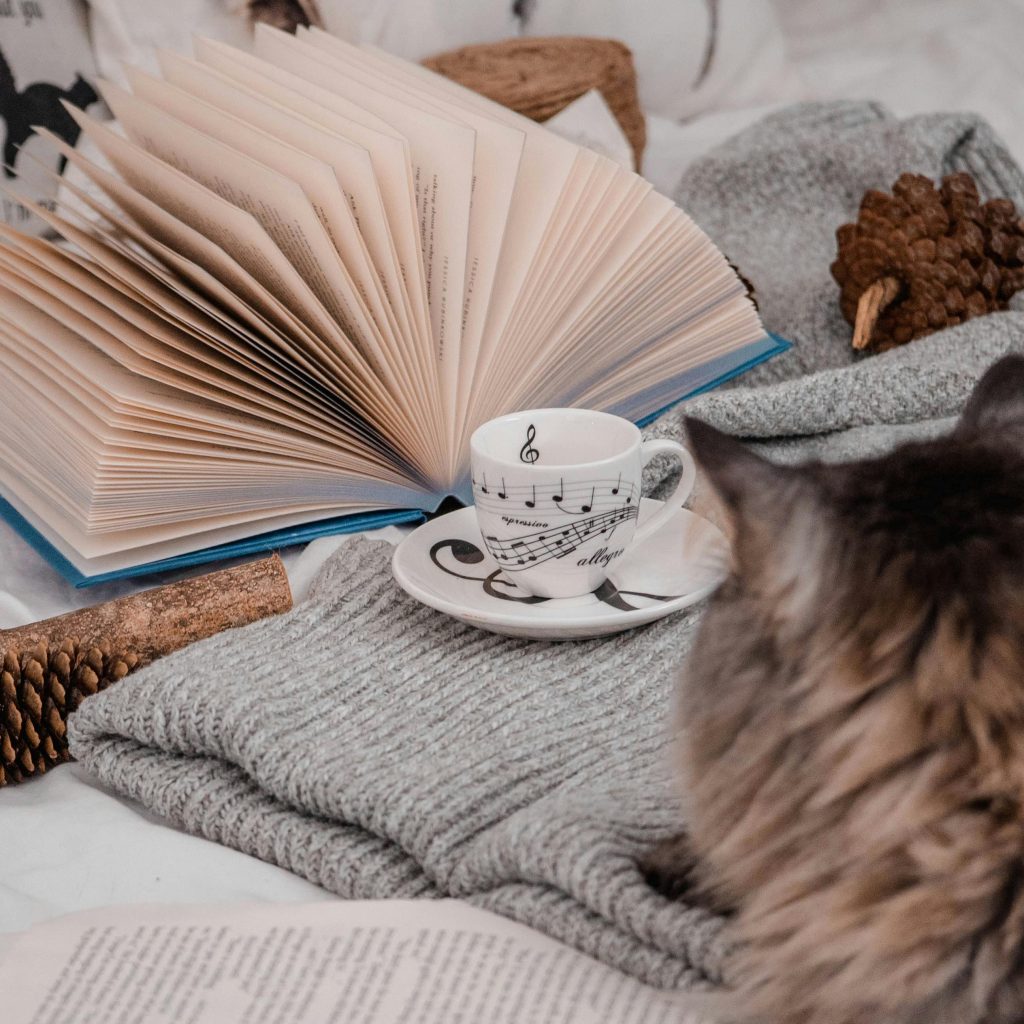 książka na weekend 