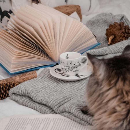 Książka na weekend: Dom dla lalek