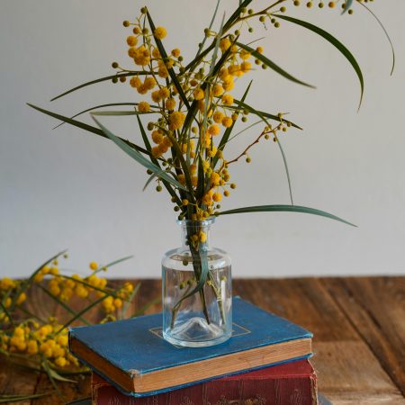 Książka na weekend: Niepokorna