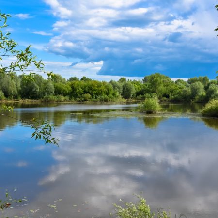 Polacy wierzą w mity o drzewach i wodzie