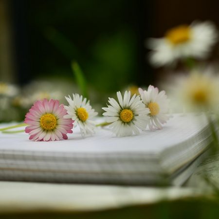 Książka na wakacje: Serce pełne grobów