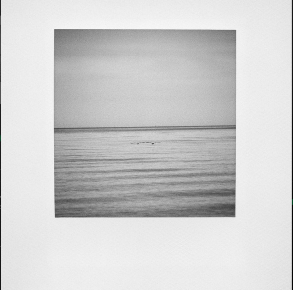 Artur Rojek „Mirafiori”